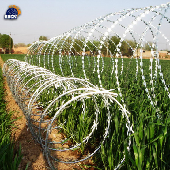 Cross Anti-rust Razor barbed wire