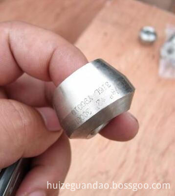 Forged Fittings Threadolet