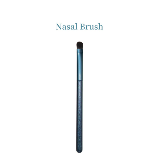 Lip Eyeshadow Eyebrow Highlight Nasal Brush Kit