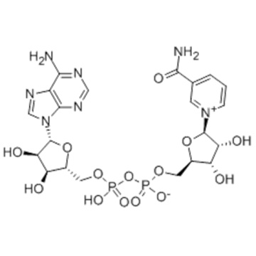 beta-Diphosphopyridine nucleotide CAS 53-84-9