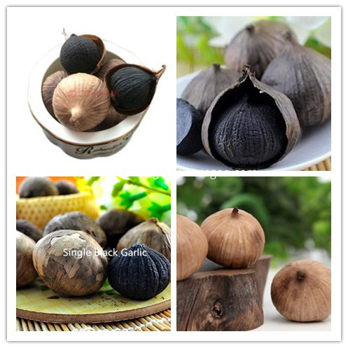 solo black garlic