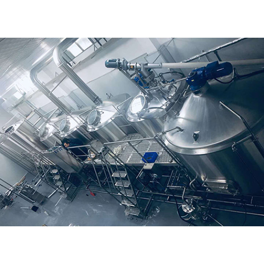 Industrial Brewery Stainless Steel Malt Conveyor