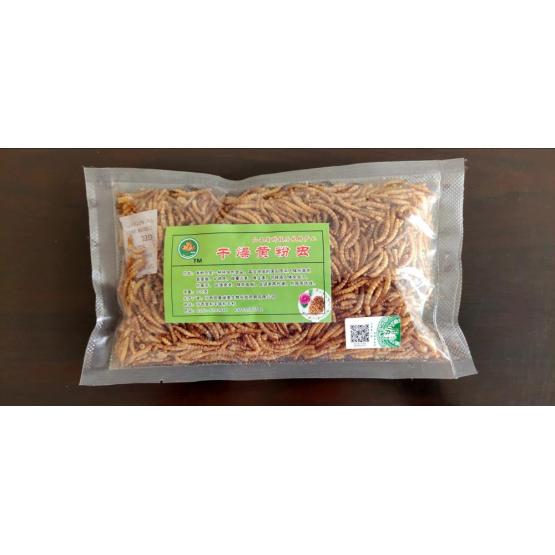 pet feed of yellow mealworm