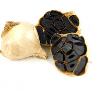 Anti-Aging Function Organic Black Garlic in the Cuisine