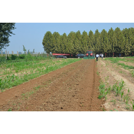 Farm diesel inter row pto rotary tiller cultivator