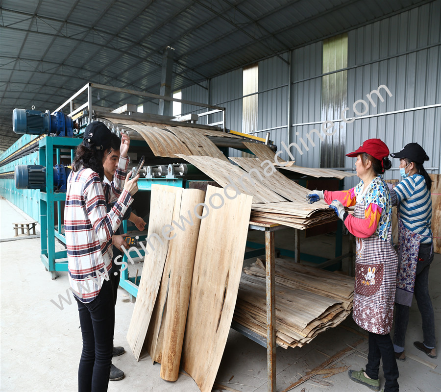 Plywood Veneer Drying Lines