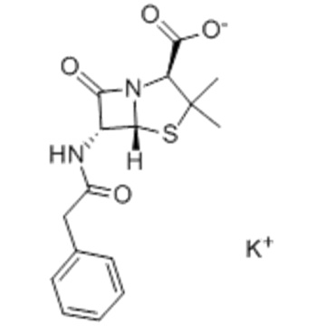 Potassium benzylpenicillin CAS 113-98-4