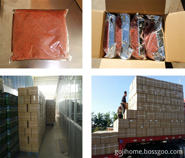 Superfood Ningxia Red Goji