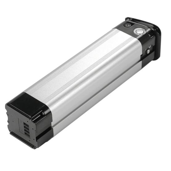 Silver fish rechargeable battery