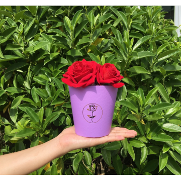 Mini luxury flower box round