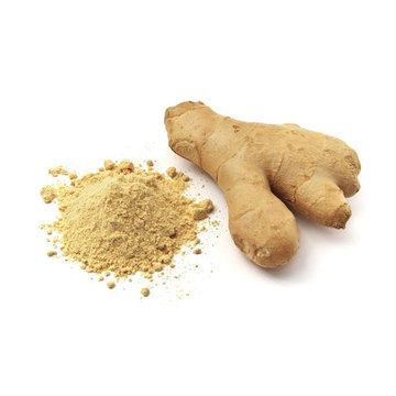 organic ginger extract powder 100% pure