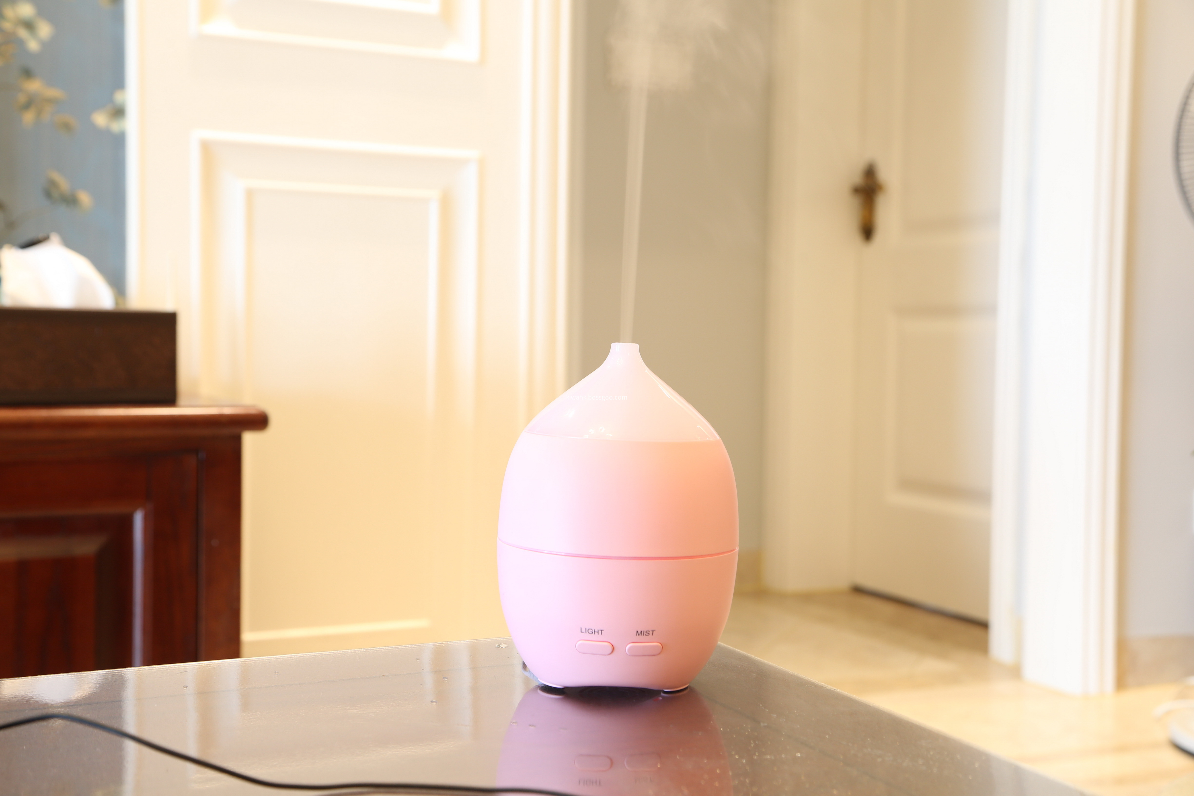 Mist Essential Oil Aroma Humidifier