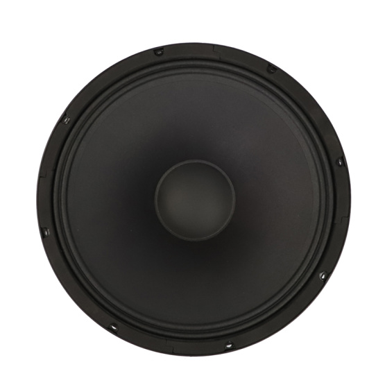 15″  Party/Concert/Opera/Stage  speaker