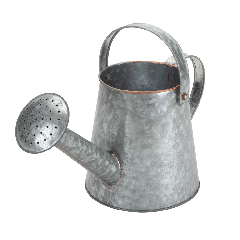 Watering Can Lowes