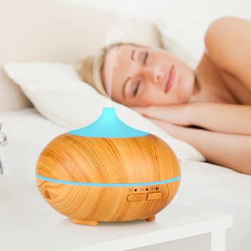 Decorative Night Light Air Diffuser Humidifier Portable