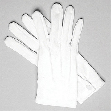 100% Cotton White Etiquette Gloves