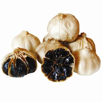 fermented single solo Black Garlic