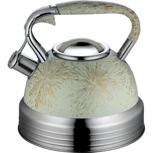 3.5L rust proof tea kettle