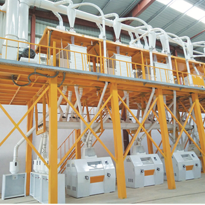 Mozambique 50TPD Maize Milling Plant