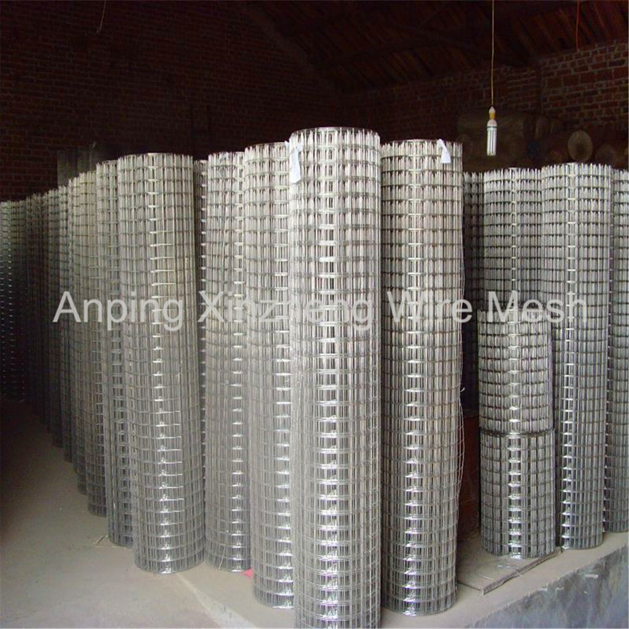 Welded Wire Mesh Rolls