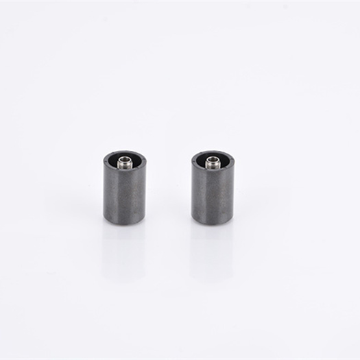 Ndfeb Plastic injected Bonded Magnet