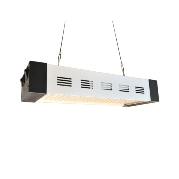 300W Professional LED Grow Light for Plant Factory