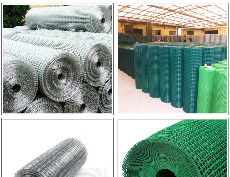 Welded Wire Mesh Roll