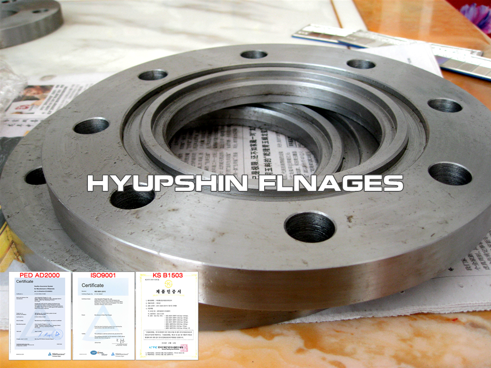Hyupshin Flanges Ring Type Joint Flanges Rtj
