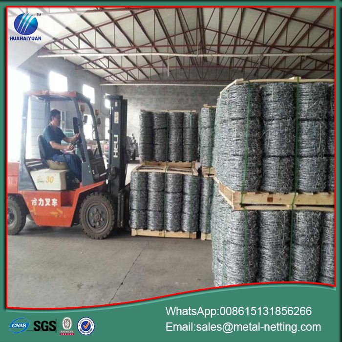 galvanized barb wire coil 2.5*2.0mm barbed wire