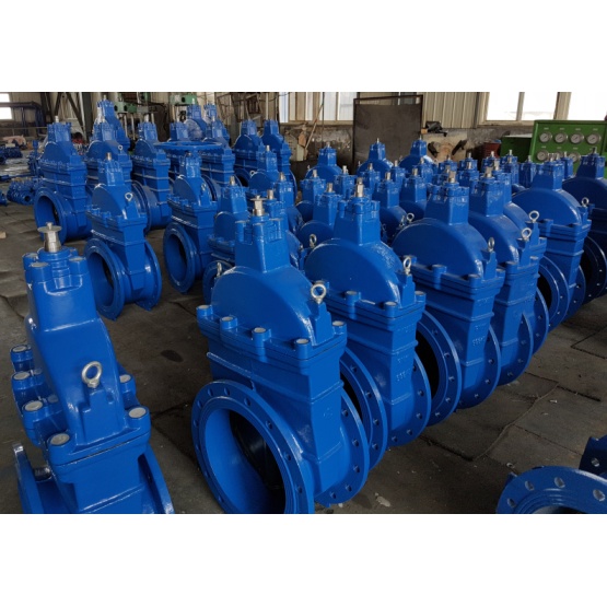 Resilient Seated Wedge Gate Valve