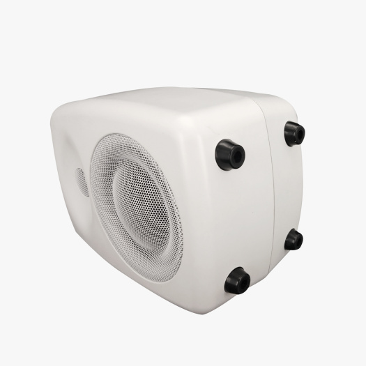 Professional Series Wall Mount Speakers