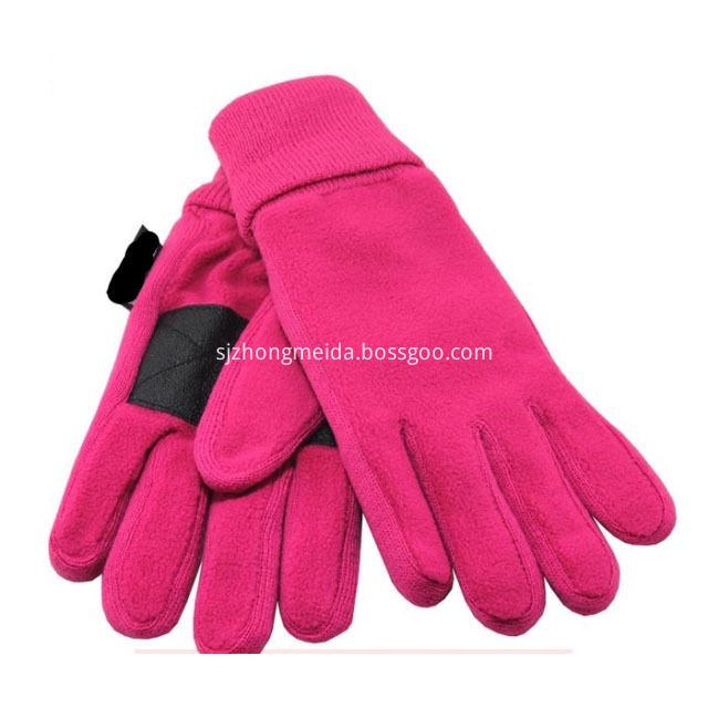 Fleece Gloves With Leather On Palm
