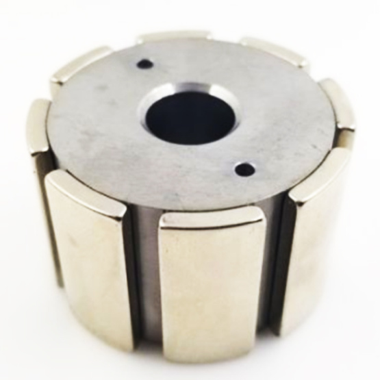 Custom Neodymium Magnetic Assembly for fan motor