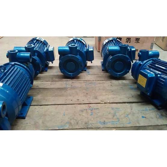 1W single stage vortex pump