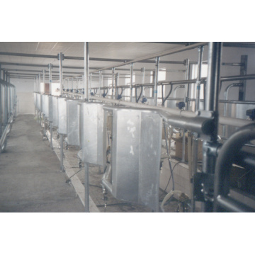 Automatic fishbone milking parlor