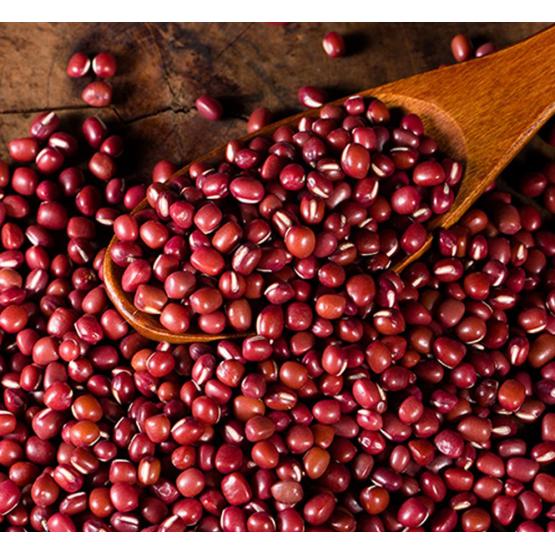 Red Bean Plant Small Red Beans