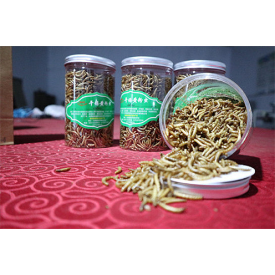 100% Pure Natural Dried Mealworm