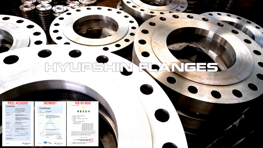 hyupshin_flanges_socket_weld_rf