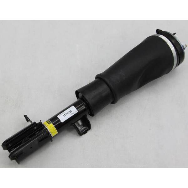 Air Suspension Strut for LAND ROVER