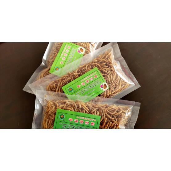 High Protein Yellow Mealworms