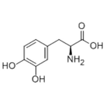 Levodopa CAS 59-92-7