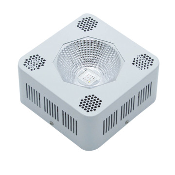 96W COB Small Size High Power LED Grow Light indoor