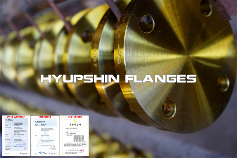 Hyupshin Flanges Blind