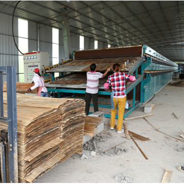 Roller Type Veneer Dryer Machine for Plywood