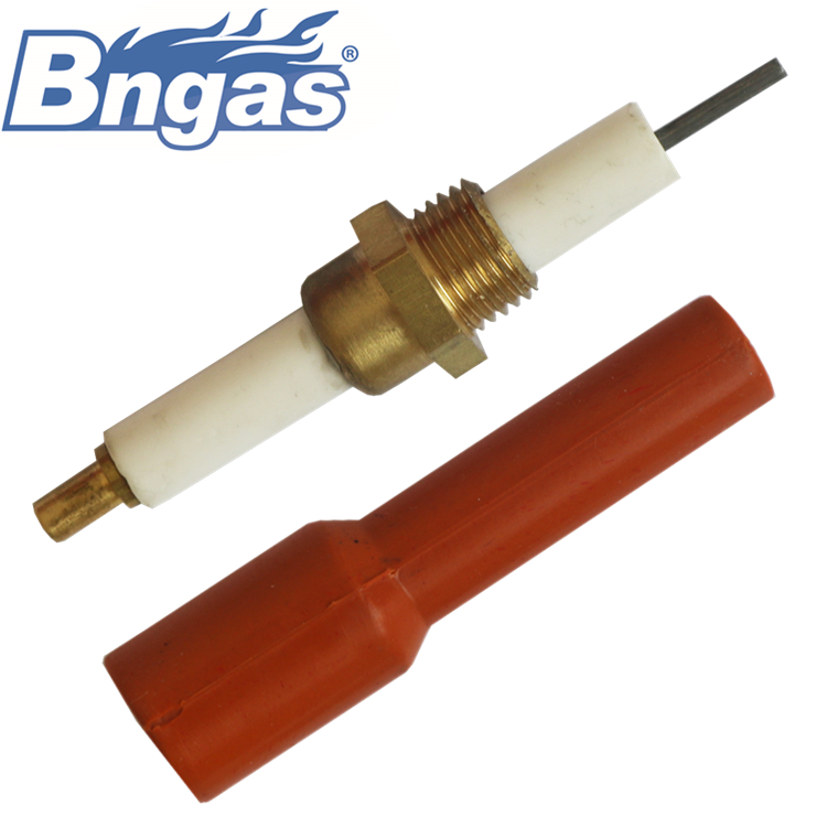CERAMIC ELECTRODE WITH SILICONE PLUG