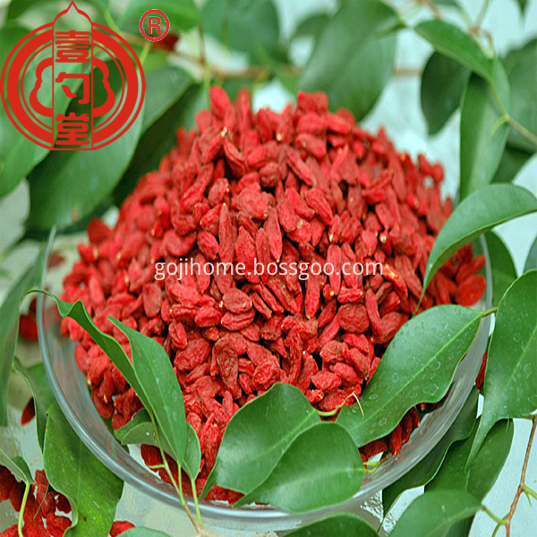 The Superfood Goji Berries