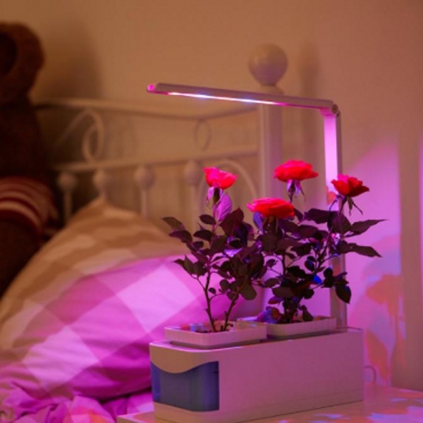 Patent Hydroponic Lighting LED Table Grow Light