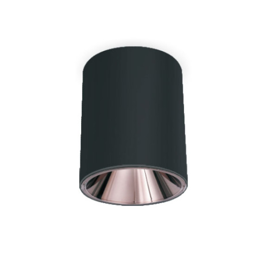 LEDER Modern Cylindrical 20W LED Downlight