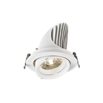 Exquisite White 38W LED Downlight
