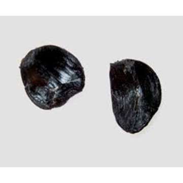 Organic Peeled Black Garlic Cloves For  Food